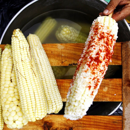 Elotes